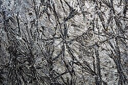 Ordovician hornblende schist near Marlboro, Vermont. The black sprays are hornblende amphibole.