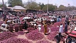 Aliero Onion Market, Kebbi State
