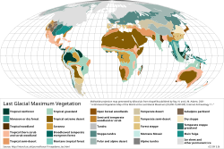 A map of vegetation patterns during the last glacial maximum