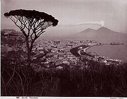 Famous view of Vesuvius and the historic Pine of Naples overlooking the city of Naples in the 19th century, by Giorgio Sommer