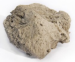 A piece of pumice