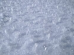 White frost on the snow