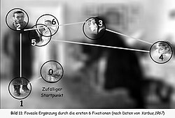 Eye movement first 2 seconds (Yarbus, 1967)