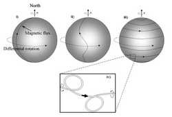 Configuration of solar magnetic flux during the solar cycle