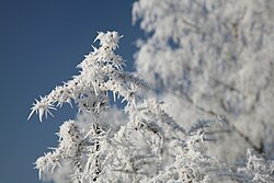 After surface hoarfrost becomes buried by later snowfall, the buried hoar layer can be a weak layer upon which upper layers can slide.