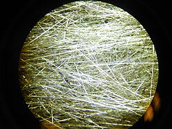 Strands of Pele's hair viewed under microscope