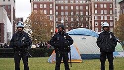 NYPD standing on Butler lawns after arresting approximately 100 student demonstrators, April 18.