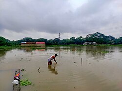 Monsoon floods in Bangladesh