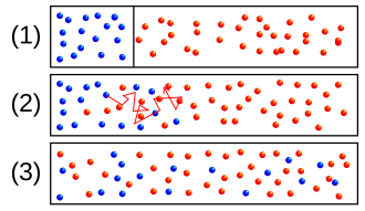 Schematic representation of mixing of two substances by diffusion