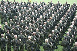 Finnish conscripts swearing their military oath at the end of their basic training period