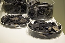 Obsidian imported from Milos, found in Minoan Crete