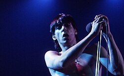 Iggy Pop performing in Toronto, 1977