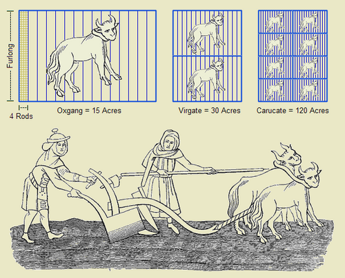 Farm-derived units of measurement: The rod is a historical unit of length equal to 5+1⁄2 yards. It may have originated from the typical length of a mediaeval ox-goad. There are 4 rods in one chain. The furlong (meaning furrow length) was the distance a team of oxen could plough without resting. This was standardised to be exactly 40 rods or 10 chains. An acre was the amount of land tillable by one man behind one team of eight oxen in one day. Traditional acres were long and narrow due to the difficulty in turning the plough and the value of river front access. An oxgang was the amount of land tillable by one ox in a ploughing season. This could vary from village to village, but was typically around 15 acres. A virgate was the amount of land tillable by two oxen in a ploughing season. A carucate was the amount of land tillable by a team of eight oxen in a ploughing season. This was equal to 8 oxgangs or 4 virgates.