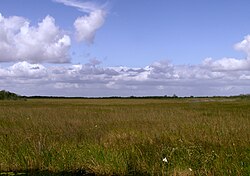 Florida's Everglades is a popular outdoor site on the Atlantic coastal plain.