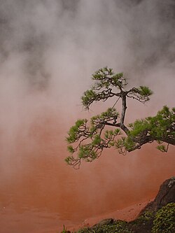 "Blood Pond" hot spring in Beppu, Japan