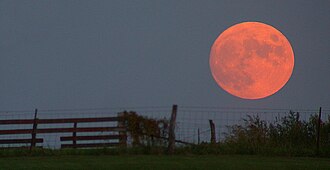 A harvest moon. Its orange color is due to greater Rayleigh scattering as the Moon appears close above the horizon, rather than being unique to harvest moons.[14]