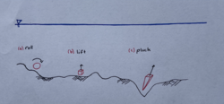 Mechanisms of movement in sediment transport. (a) Roll: sediment particle is rotated by shear stress along the ground (b) Lift: Sediment particle is lifted by the shear stress into the bulk (c) Pluck: Sediment particle is extracted from crevices in the ground by shear stress