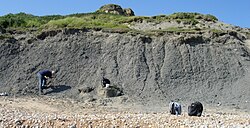 Oxford Clay (Jurassic) exposed near Weymouth, England