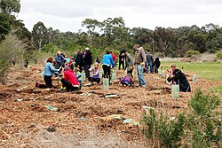 Stakeholders implementing sustainability by planting trees in an area of deforestation. This is important to the stakeholder label due to the fact that stakeholders are individuals or groups who are affected by or have an interest in ecosystem management decisions and actions.