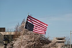 An upside down U.S. flag at a protest in Olympia, Washington