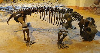 Lystrosaurus was by far the most abundant early Triassic land vertebrate.