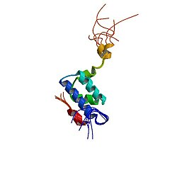 TOM: Translocase of the outer membrane. Mitochondrial import receptor subunit TOM20.