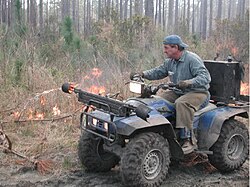 Firing the woods in a South Carolina forest with a custom made driptorch mounted on an ATV. The device spits flaming fuel oil from the side, instantly igniting the leaf litter.