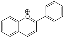 Flavylium skeleton of anthocyanidins