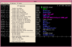The Xterm terminal emulator