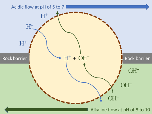 Proposed model of an early cell powered by external proton gradient near a deep-sea hydrothermal vent. As long as the membrane (or passive ion channels within it) is permeable to protons, the mechanism can function without ion pumps.[162]