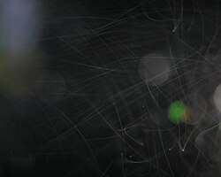 Minute droplets of water constitute this after-dark radiation fog, with an ambient temperature of −2 °C (28 °F). Their motion trails are captured as streaks.