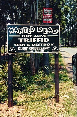 A sign in Kloof, South Africa encouraging the elimination of Chromolaena odorata, colloquially known as Triffids