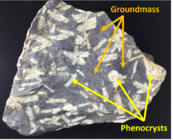 Igneous rock, with gray groundmass and white phenocrysts marked.