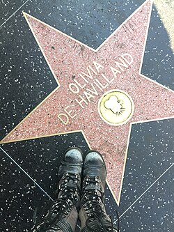 Olivia de Havilland's star on the Hollywood Walk of Fame.