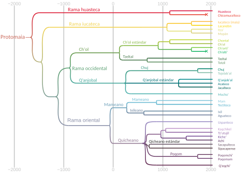An example of a language tree, containing the Mayan languages
