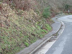 Creep has caused the soil to spread over this pavement.