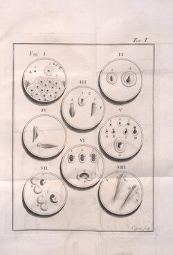 Dissertazioni di fisica animale e vegetabile, 1780