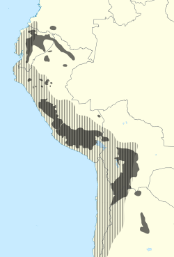 The current distribution of the Quechuan languages (solid gray) and the historical extent of the Inca Empire, Tawantinsuyu (shaded)