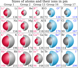 Relative radii of atoms and ions. The neutral atoms are colored gray, cations red, and anions blue.