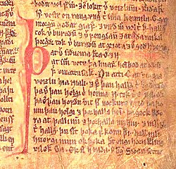 A page of Njáls saga from Möðruvallabók is shown. The sagas are a significant part of the Icelandic heritage.