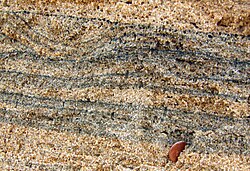 Magnetite and other heavy minerals (dark) in quartz beach sand (Chennai, India)