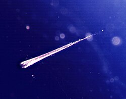 Meteoroid embedded in aerogel; the meteoroid is 10 μm in diameter and its track is 1.5 mm long