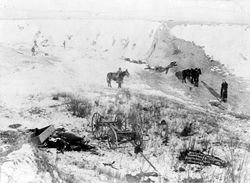 View of canyon at Wounded Knee, dead horses and Lakota bodies are visible