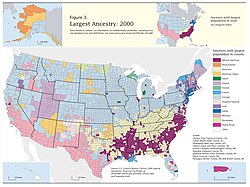 U.S. Ancestries by County, Germany in light blue, as of 2000[update] census