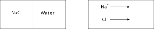 Example of chemical (classical, Fick's, or Fickian) diffusion of sodium chloride in water