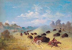Comanches chasing bison, painted by George Catlin. Bison were the primary food source for the Comanche.