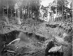 Deforestation in Suriname c. 1880–1900