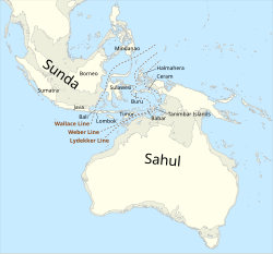 A map showing the probable extent of land and water at the time of the last glacial maximum 20,000 years ago and when the sea level was likely more than 110 metres lower than it is today