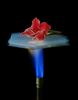 A flower resting on a piece of silica aerogel, which is suspended over a flame from a Bunsen burner. Aerogels have excellent insulating properties, and the flower is protected from the heat of the flame.