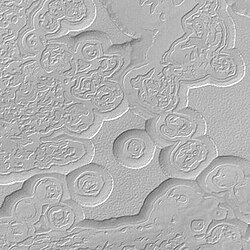 Swiss Cheese terrain on the south polar cap of Mars, as seen by Mars Global Surveyor. Largest mesas ~4 meters (13 feet) high; area of 3 x 3 kilometers (1.9 x 1.9 miles).